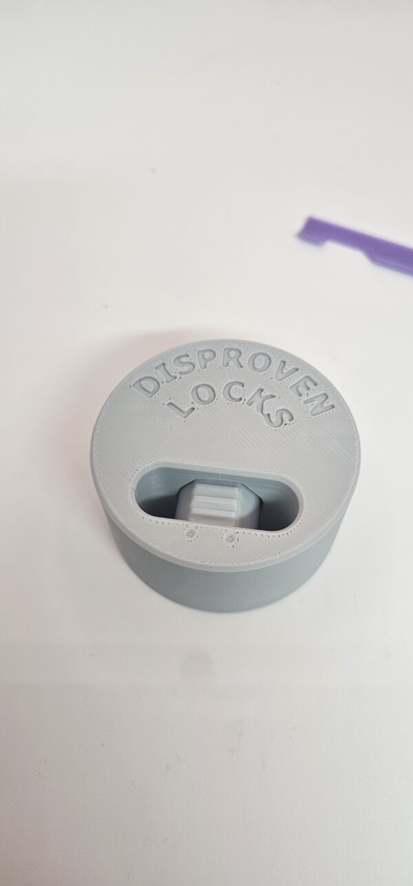 Disproven Locks - Novelty Play Set - Image 6